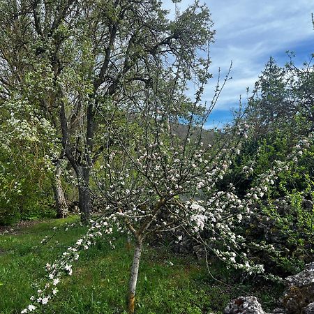 El Pecu Casa Rural Starfamiliar Bustillo Del Paramo Luaran gambar