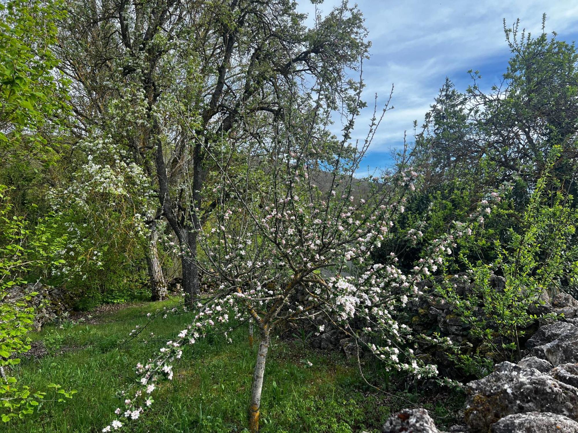 El Pecu Casa Rural Starfamiliar Bustillo Del Paramo Luaran gambar